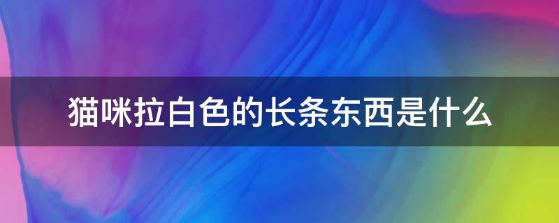 猫咪拉白色的长条东西是什么（猫咪拉白色的长条东西是什么,没拉干净,怎么处理）