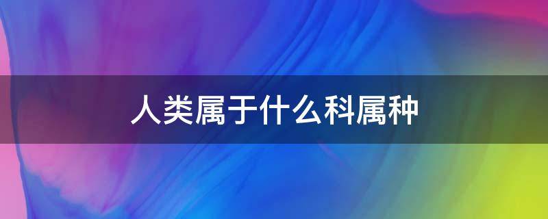 人类属于什么科属种 人类的属种