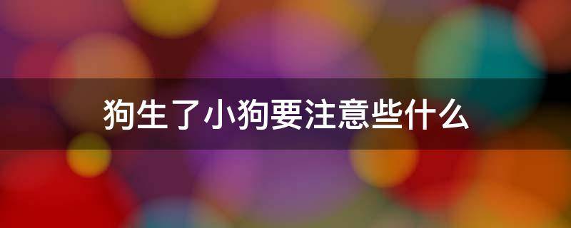 狗生了小狗要注意些什么 小狗生了需要注意什么