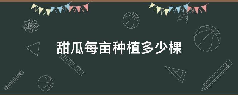 甜瓜每亩种植多少棵 大棚甜瓜一亩栽多少棵