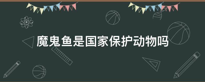 魔鬼鱼是国家保护动物吗 魔鬼鱼是濒危动物吗