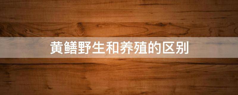 黄鳝野生和养殖的区别（黄鳝野生与养殖的区别）