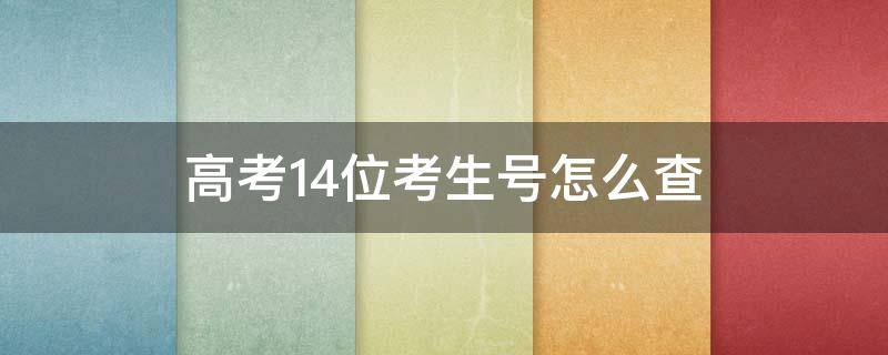 高考14位考生号怎么查（14位考生号在哪查）