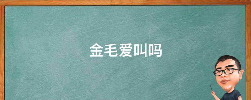 金毛爱叫吗（金毛爱叫吗 简单一招教你让金毛犬不乱叫）