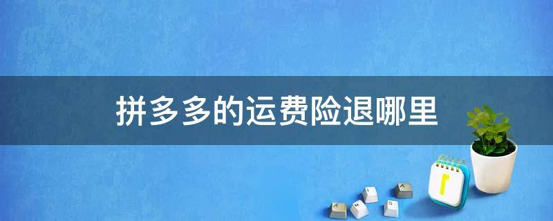 拼多多的运费险退哪里 拼多多运费险退到哪里