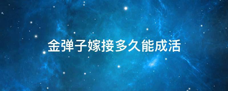 金弹子嫁接多久能成活 金弹子嫁接多少天能活