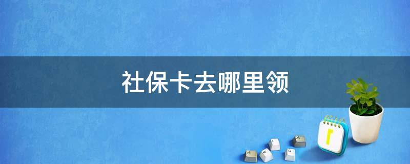 社保卡去哪里领（公司办的社保卡去哪里领）