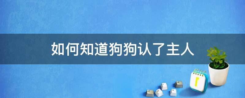 如何知道狗狗认了主人 怎么确定狗认了那个主人