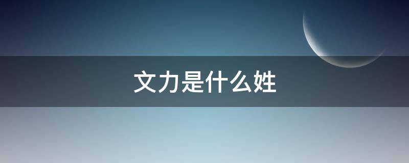 文力是什么姓（文加力是什么姓）