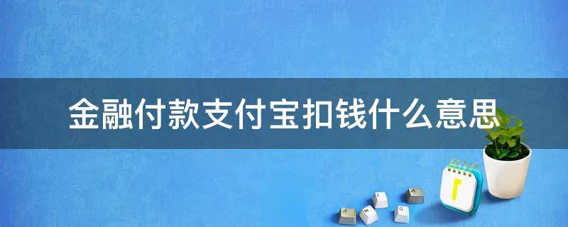 金融付款支付宝扣钱什么意思（宝付支付扣款是什么意思啊）