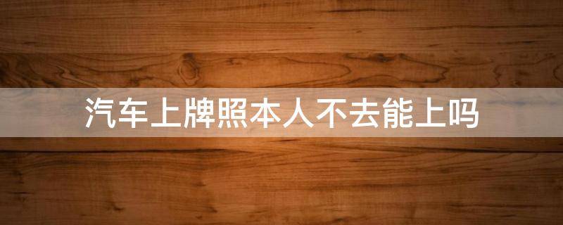 汽车上牌照本人不去能上吗（汽车上牌照本人不去可以吗）