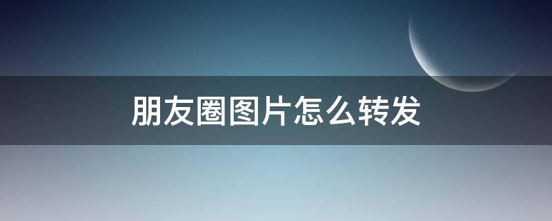 朋友圈图片怎么转发（转发别人朋友圈图片怎么转发）