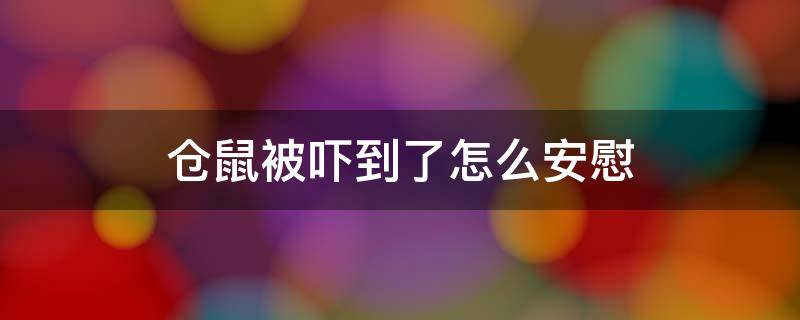 仓鼠被吓到了怎么安慰 仓鼠被吓到了怎么安慰基础外科