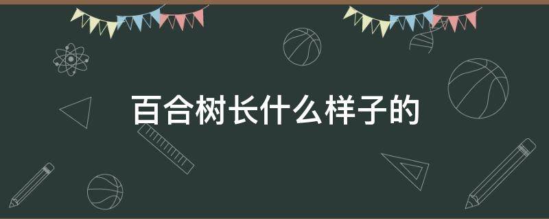 百合树长什么样子的 百合树长啥样