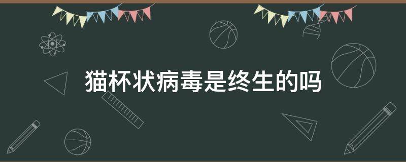 猫杯状病毒是终生的吗 猫杯状病毒终身携带