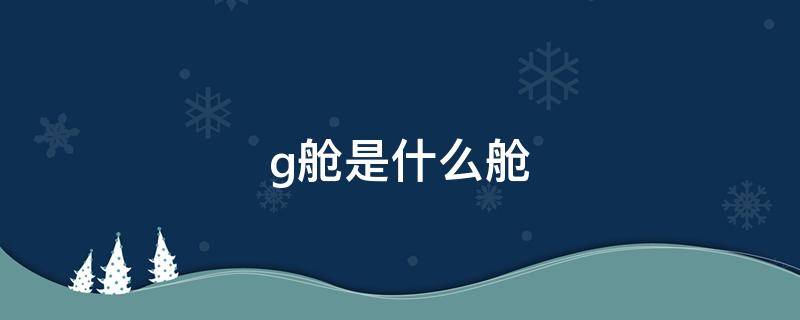 g舱是什么舱 G舱是什么舱