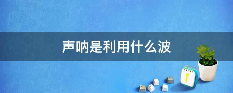 声呐是利用什么波 声呐是利用什么声波