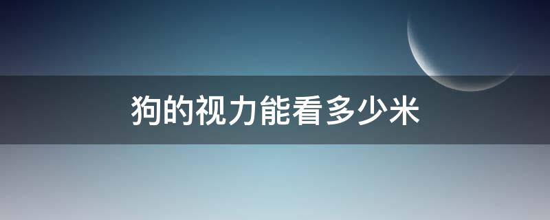 狗的视力能看多少米 狗的视力能看多远?