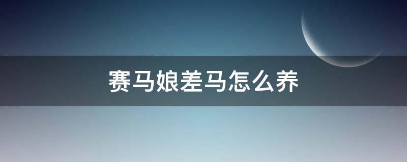 赛马娘差马怎么养 赛马娘ミホノブルボン怎么养