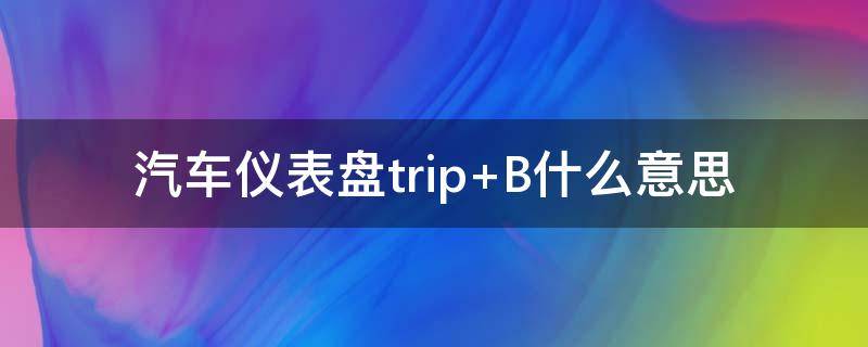 汽车仪表盘trip（汽车仪表盘trip和km分别代表什么）