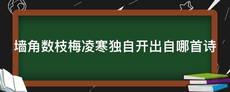 墙角数枝梅凌寒独自开出自哪首诗（墙角数枝梅凌寒独自开的意思是什么意思）