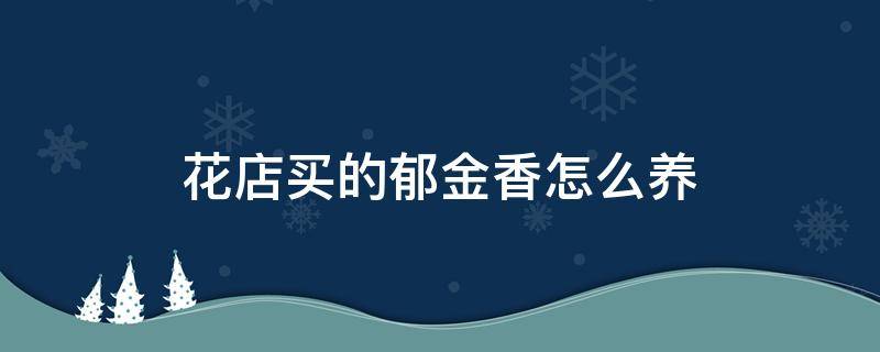 花店买的郁金香怎么养（花市买的郁金香怎么养）