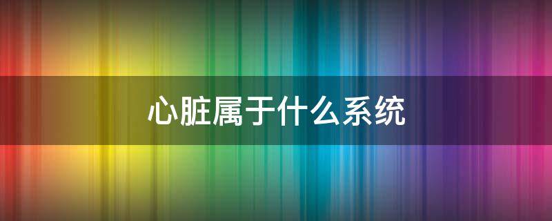 心脏属于什么系统 人体的主要器官中,心脏属于什么系统