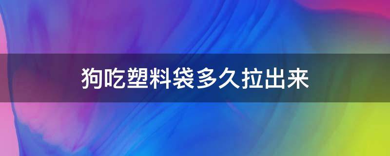 狗吃塑料袋多久拉出来 狗狗吞了塑料袋多久排出