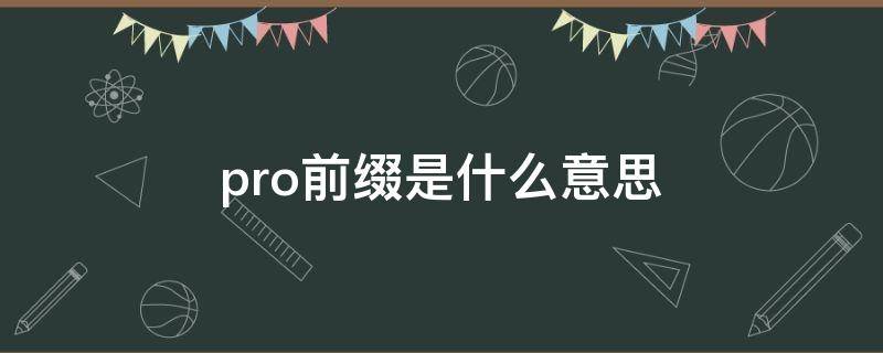 pro前缀是什么意思 pro是什么意思