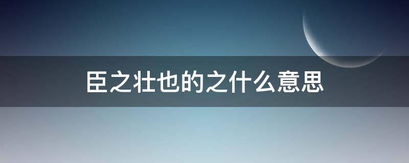 臣之壮也的之什么意思 臣之壮也之怎么翻译