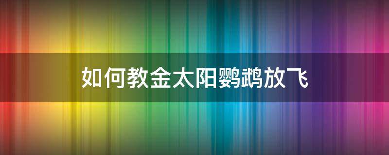 如何教金太阳鹦鹉放飞（金太阳鹦鹉能放飞吗）