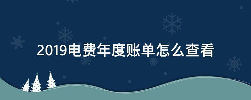 2019电费年度账单怎么查看（电费查询账单明细）