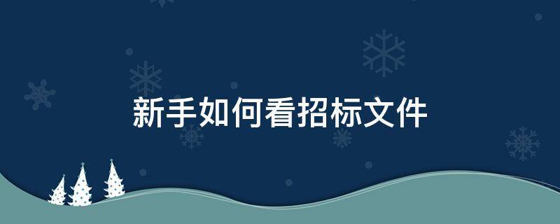 新手如何看招标文件 新手招标文件怎么做