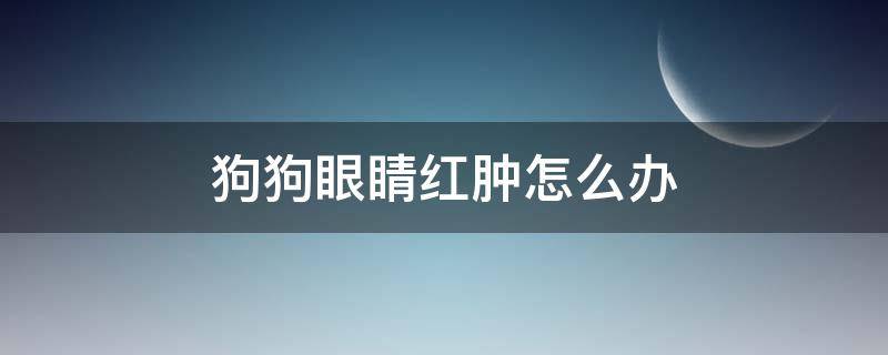 狗狗眼睛红肿怎么办 狗狗眼睛红肿怎么回事