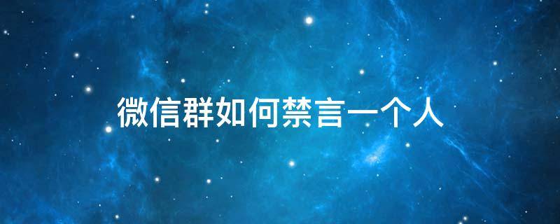 微信群如何禁言一个人（微信群如何禁言一个人而不删除）