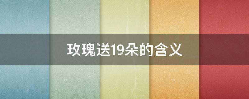 玫瑰送19朵的含义（玫瑰送19朵代表什么意思?）