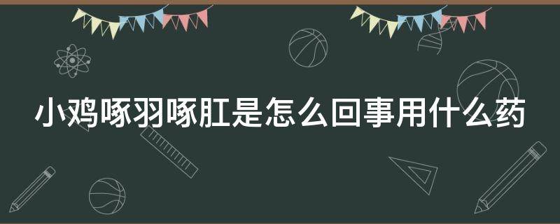 小鸡啄羽啄肛是怎么回事用什么药 小鸡啄羽毛是怎么回事