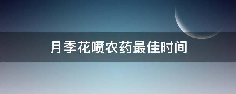 月季花喷农药最佳时间 月季花喷什么农药最好