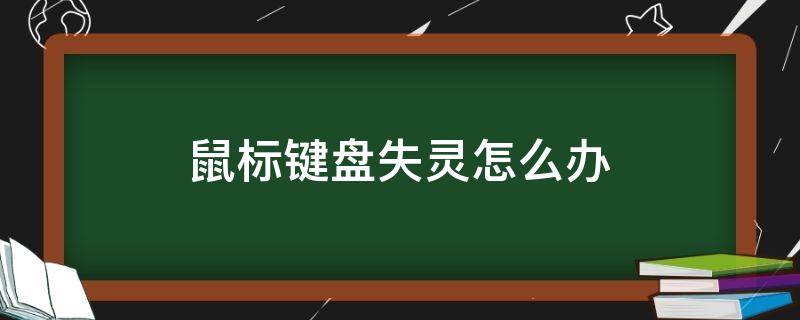 鼠标键盘失灵怎么办 鼠标键盘失灵怎么解决