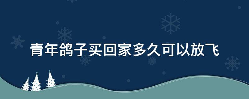 青年鸽子买回家多久可以放飞（买来的青年鸽多久可以放家飞）