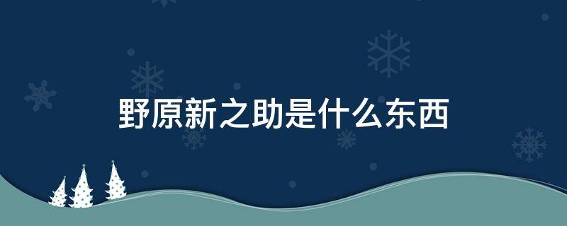 野原新之助是什么东西 你知道野原新之助吗