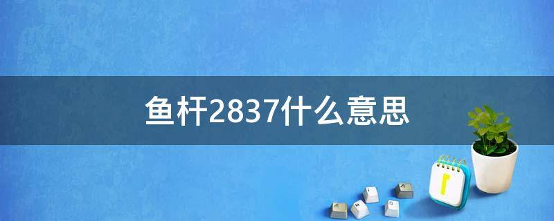 鱼杆2837什么意思 鱼杆28和37什么意思