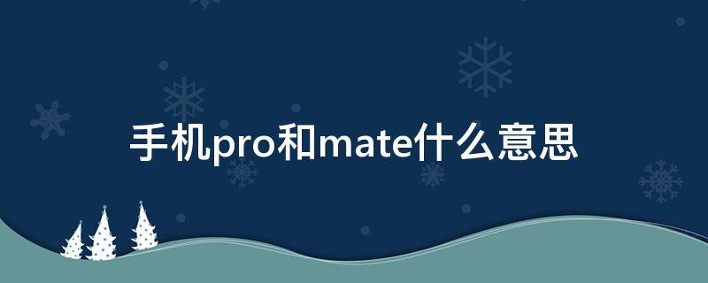 手机pro和mate什么意思（matepro跟pro+有什么区别）