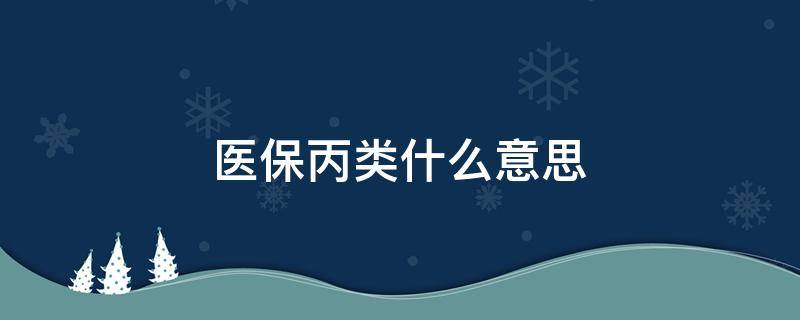 医保丙类什么意思（医保用药丙类什么意思）