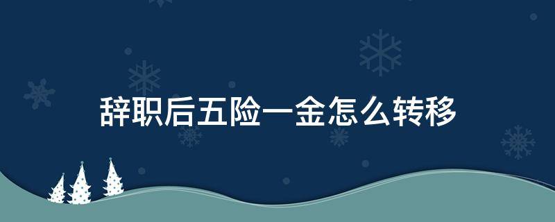 辞职后五险一金怎么转移（辞职后五险一金怎么转移到异地新单位）