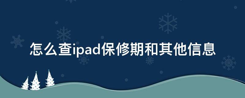 怎么查ipad保修期和其他信息（ipad怎么查询保修期）