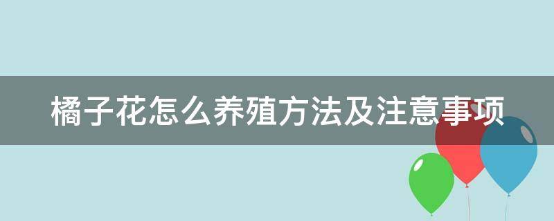 橘子花怎么养殖方法及注意事项 栀子花怎么养才能更旺盛开花