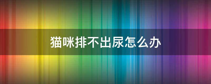 猫咪排不出尿怎么办（猫咪尿不出来有什么办法）