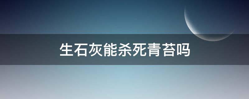 生石灰能杀死青苔吗 石灰可以杀死青苔吗