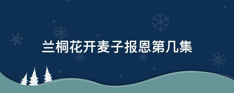 兰桐花开麦子报恩第几集（兰桐花开麦子上学捐钱第几集）